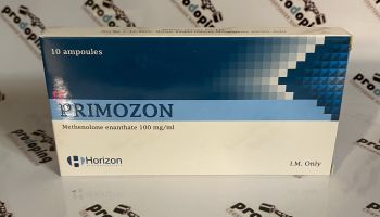 Primozon (Horizon)